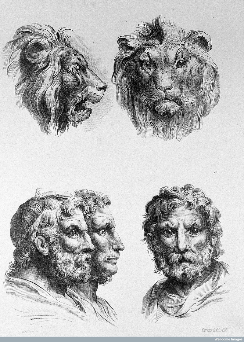Illustration for article titled Baroque-Era Drawings Reveal Early Ideas About Evolution
